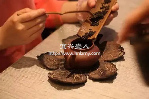 生普和熟普用什么泥料紫砂壺