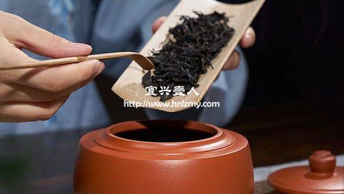 泡普洱茶用什么紫砂壺比較好 2