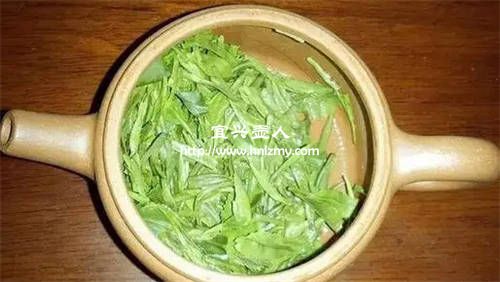 紫砂壺泡綠茶要注意什么?
