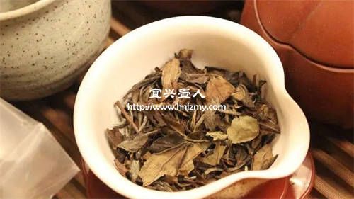夏季紫砂茶壺喝什么茶好