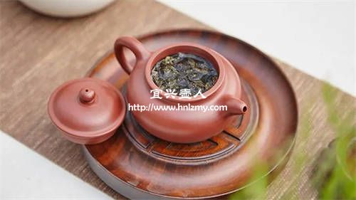烏龍茶用紫砂壺泡