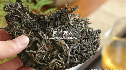 紫砂壺喝什么茶葉最好