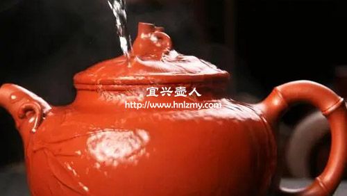 濕養(yǎng)的紫砂真的不如干養(yǎng)嗎1