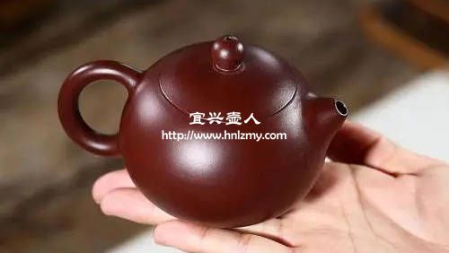 紫朱泥比較適合泡什么茶