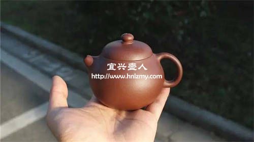 文旦壺適合泡什么茶1