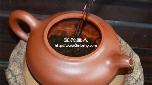 生普洱用什么泥料紫砂壺泡最好