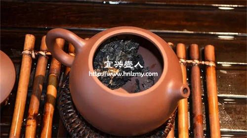 用紫砂壺怎么泡普洱茶