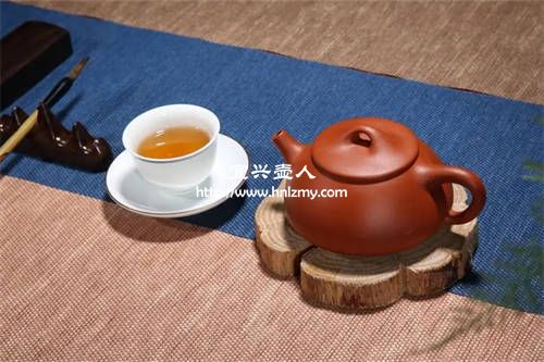 紫砂壺一壺一茶科學嗎