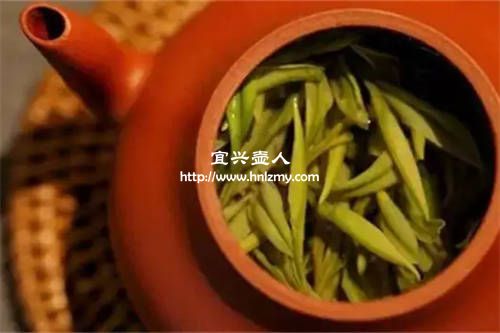 綠茶可以放在紫砂壺中沖泡嗎