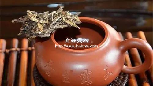 泡普洱茶怎么挑選紫砂壺