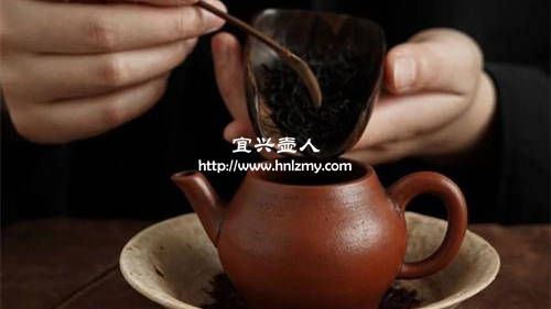 普洱茶熟茶能用紫砂壺泡嗎2