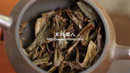 普洱茶能用紫砂壺泡嗎2