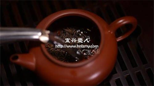 普洱茶生茶適合用紫砂壺泡嗎