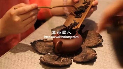 普洱茶能用紫砂壺泡嗎1