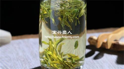霍山黃芽能用紫砂壺泡嗎1