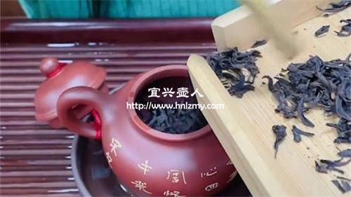 什么紫砂壺泡烏龍茶好