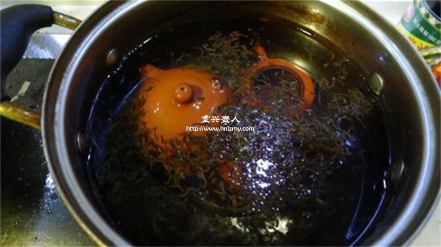 新紫砂壺開壺用什么茶葉最好