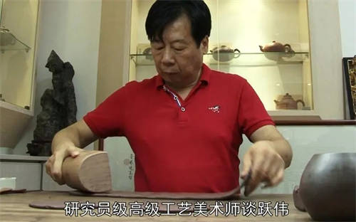 談躍偉個人簡介