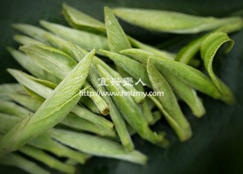 紫砂壺泡出來的茶水有一層白白的可能是茶絨